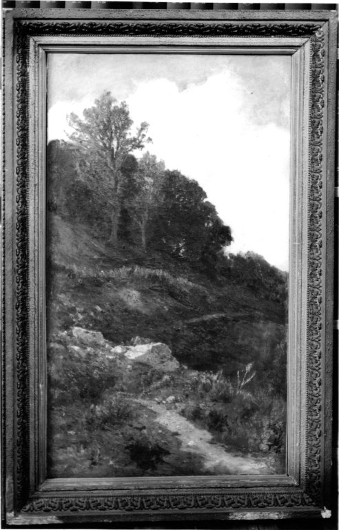 paesaggio (dipinto) di Vertunni Achille (seconda met&agrave; sec. XIX)